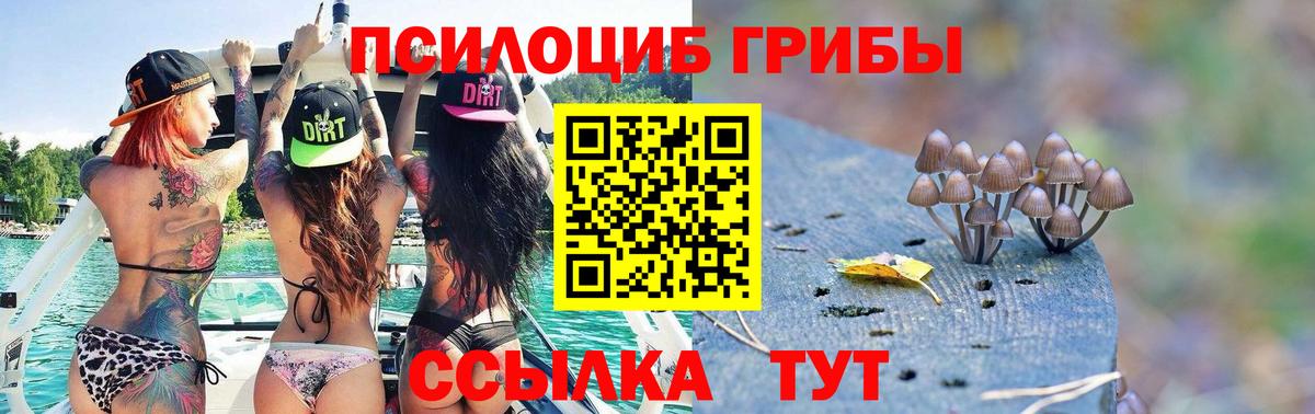 Павлово  Псилоцибиновые грибы MAGIC MUSHROOMS  Вход с VPN 